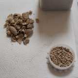 Cos� come sono ancora da studiare e alcune conchiglie...